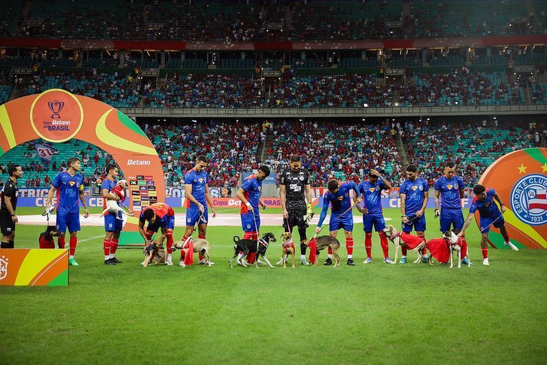 Por que titulares do Bahia entraram em campo com cães antes de jogo da Copa do Brasil