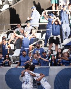 Jogadores do Cruzeiro comemoram gol no Nilton Santos em 2025
