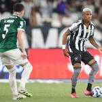 Desempenho como mandante afasta Botafogo da briga pelo título da Série A