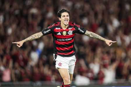 Pedro vibra com um dos gols do Flamengo sobre o Vitória, no Maracanã, pelo Campeonato Brasileiro