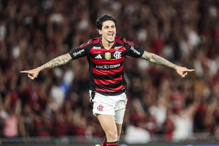 Pedro vibra com um dos gols do Flamengo sobre o Vitória, no Maracanã, pelo Campeonato Brasileiro