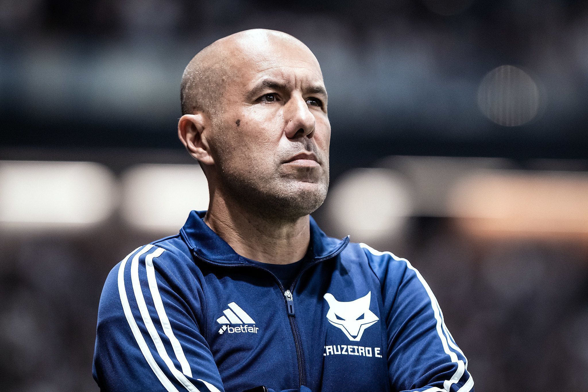 Intransponível: Cruzeiro de Leonardo Jardim atinge marca expressiva como visitante