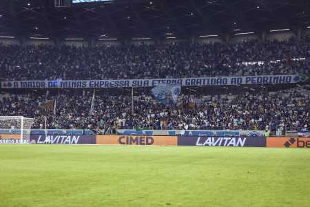 Torcida do Cruzeiro durante jogo no Mireirão