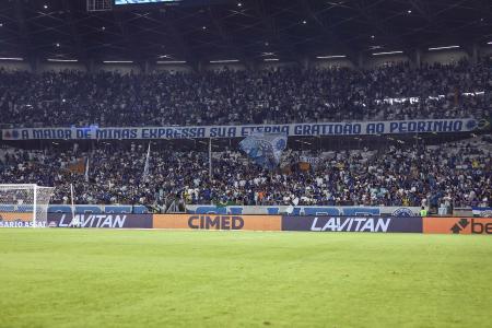 Torcida do Cruzeiro durante jogo no Mireirão