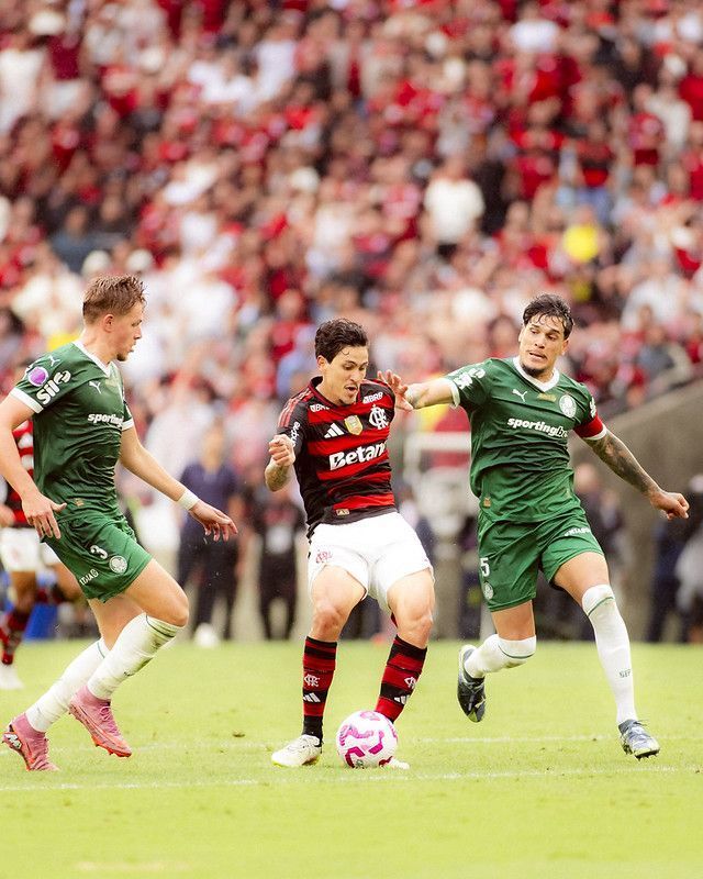 Famoso narrador argentino compara Flamengo e Palmeiras a Nadal e Federer
