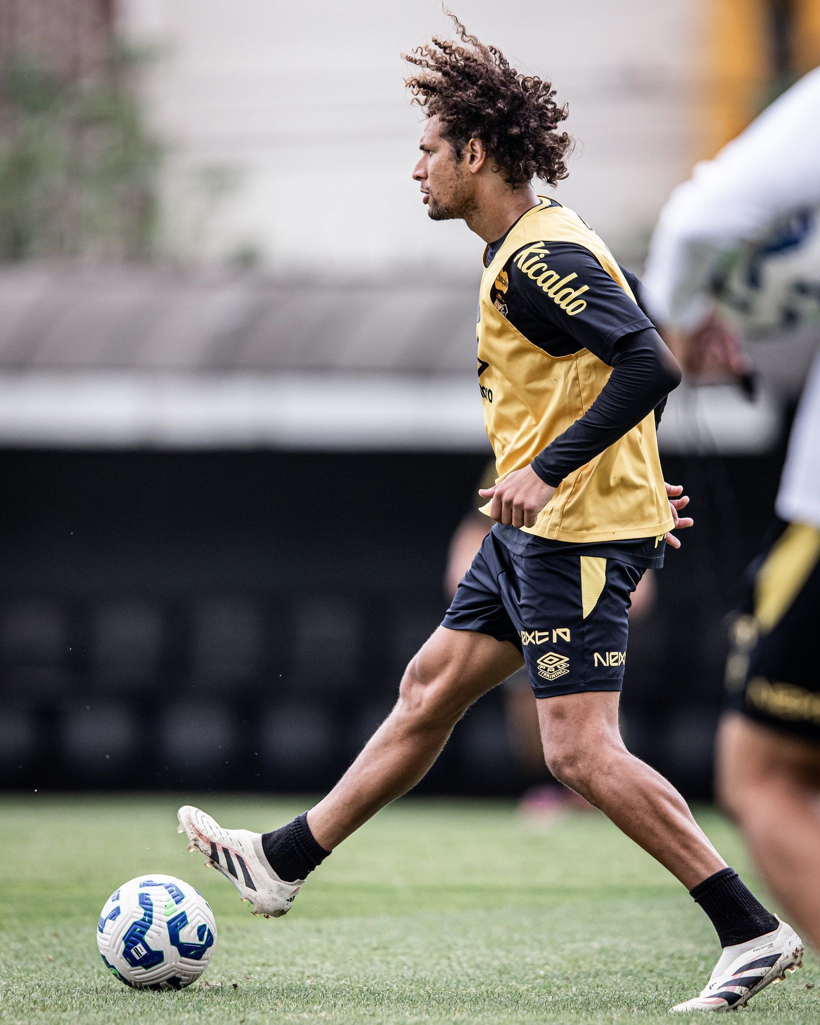 Preocupa? Veja situação de Willian Arão para Santos x Mirassol