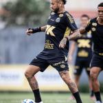 Neymar de volta? Veja lista de relacionados do Santos para duelo com Flamengo