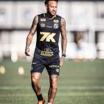 Com desfalques, Santos define relacionados para clássico com Palmeiras; veja lista