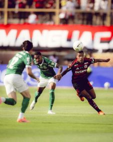 Finalistas da Libertadores 2025