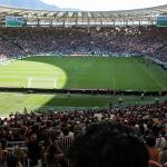 Zubeldia encerra o Brasileiro com aproveitamento impecável como mandante no Fluminense