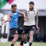 Horário e onde assistir ao vivo Noroeste x Santos, pelo Paulistão