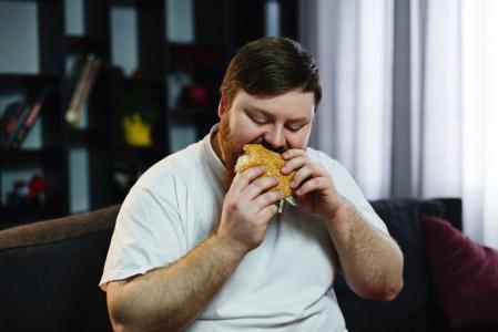 gordura obesidade colesterol fast food
