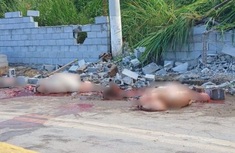 Três bois morrem após serem atropelados por trem em Conselheiro Lafaiete.