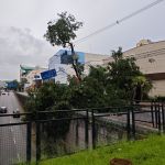 Trecho da Avenida do Contorno, na Savassi, segue interditado após temporal