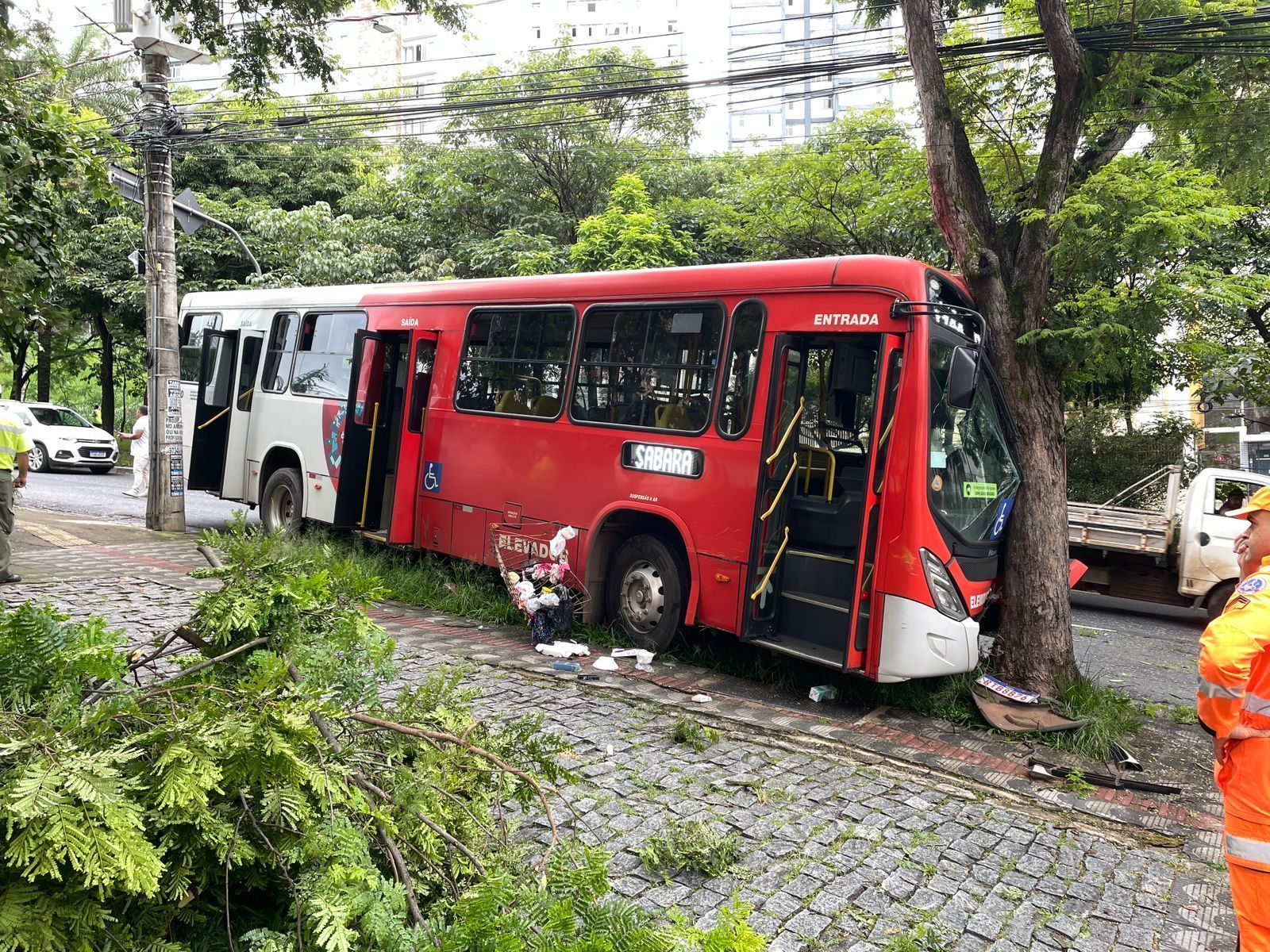 Vídeo: ônibus bate em árvore na avenida José Cândido da Silveira, em BH, e deixa feridos