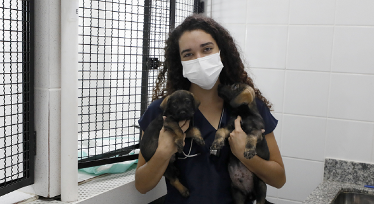 Veja hospitais veterinários gratuitos para levar seu pet em BH e região
