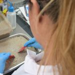 Análises químicas e físicas ampliam eficiência e controle na cadeia mineral