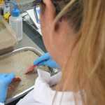 Análises químicas e físicas ampliam eficiência e controle na cadeia mineral