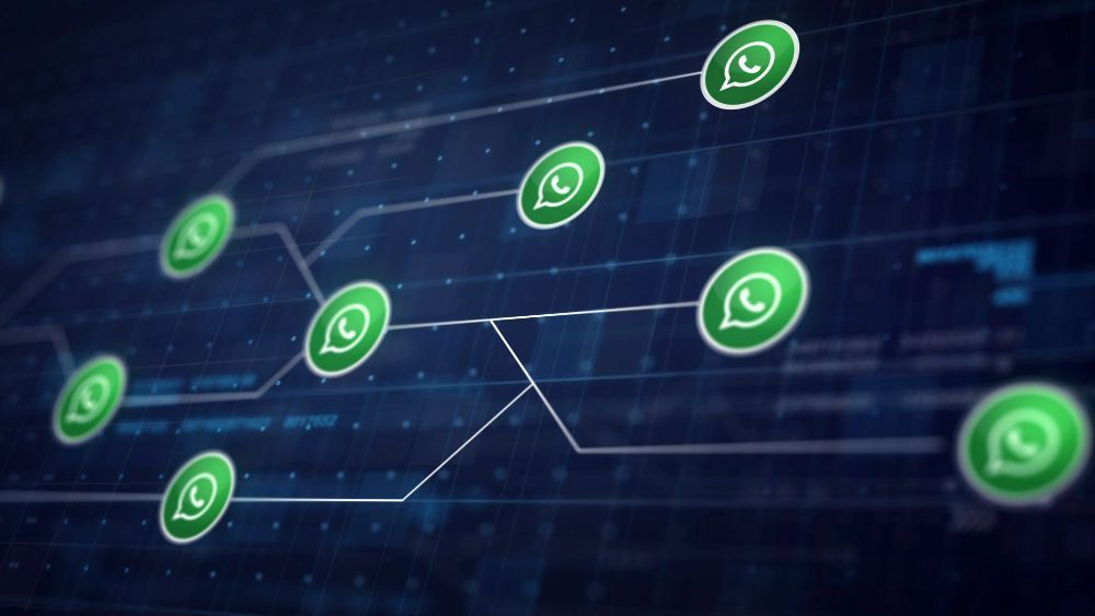 Como funciona o nome de usuário do WhatsApp e como proteger sua privacidade