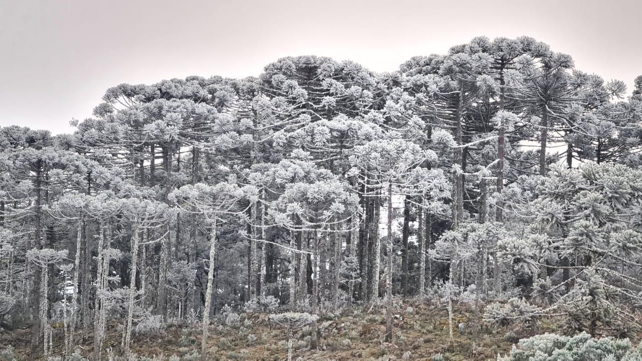 Chegada de frente fria derruba temperaturas no Sudeste e faz nevar no Sul; veja previsão