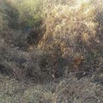 Adolescente é apreendido suspeito de matar o próprio irmão de 10 anos no Norte de Minas
