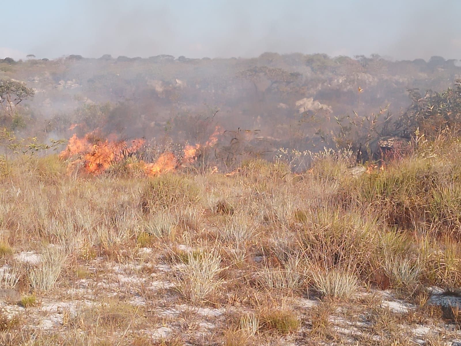 Bombeiros combatem quatro grandes focos de incêndio em MG