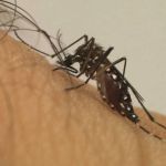 Prefeitura abre Central de Hidratação 24h para agilizar atendimentos de dengue e chikungunya em Contagem