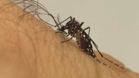 A abertura da unidade tem como objetivo ampliar o atendimento aos pacientes com quadro suspeito de dengue, zika e chikungunya
