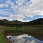 El Niño começou! O que é o fenômeno climático? Ele traz frio ou calor? Respondemos