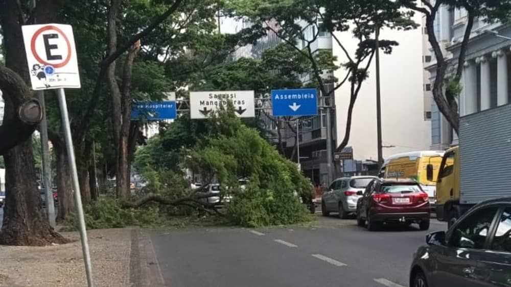 Árvore cai em cima de carro no Centro de Belo Horizonte