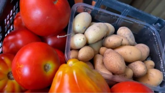 A batata passou por altas consecutivas de setembro/22 a janeiro desse ano, mas em fevereiro os preços cederam