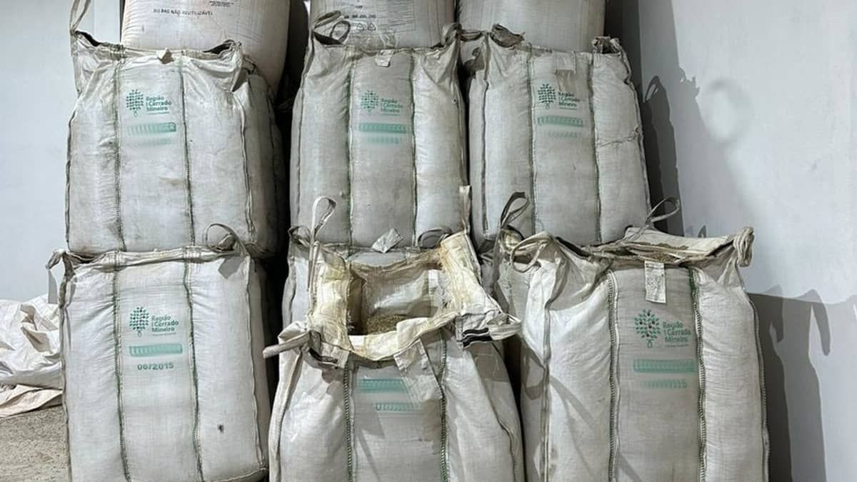 Polícia Civil recupera 32 toneladas de café roubadas em Minas; carga é avaliada em R$ 500 mil