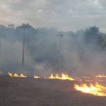 Queimadas já deixaram mais de 54 mil clientes da Cemig sem energia elétrica este ano