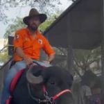 Vídeo: homem passeia com búfalo no Centro de BH e desperta curiosidade do público 