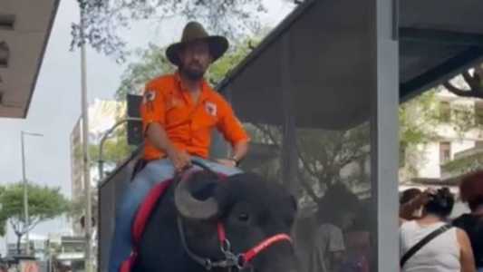 A cena despertou a curiosidade do público que passava pelo Centro de BH