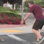 Homem morre atropelado na frente dos filhos enquanto ajudava patos a atravessarem a rua nos Estados Unidos