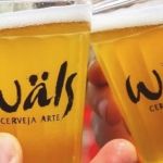 Concurso internacional coloca cervejas brasileiras entre as melhores do mundo  