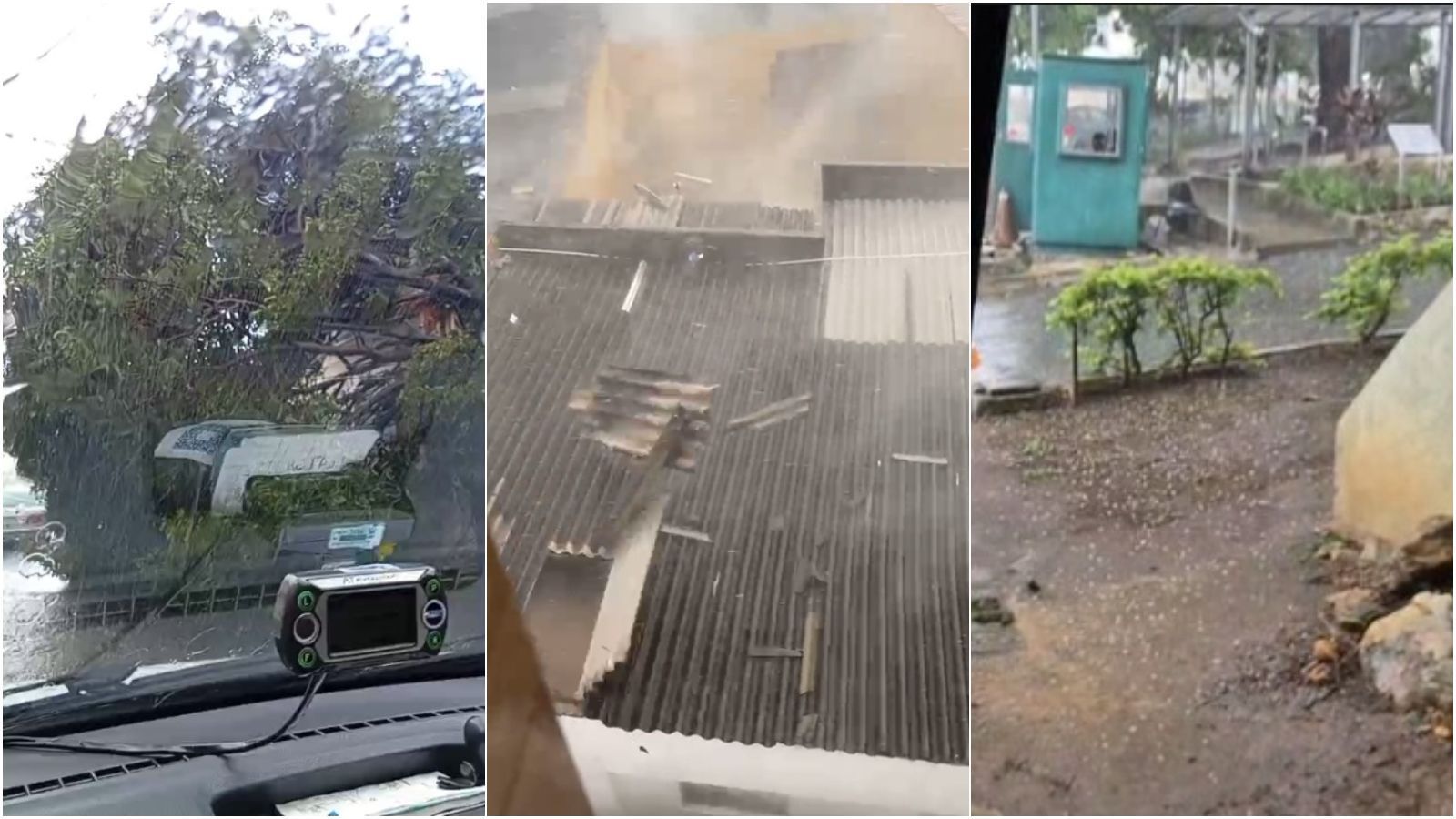 BH: em dia de muito calor, chuva com granizo derruba árvore; Defesa Civil emite alertas