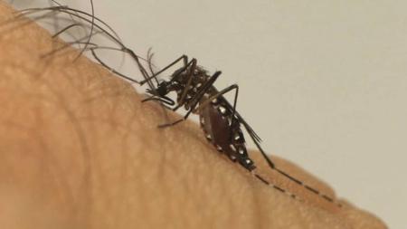 A cidade com maior número de mortes por dengue é Uberlândia