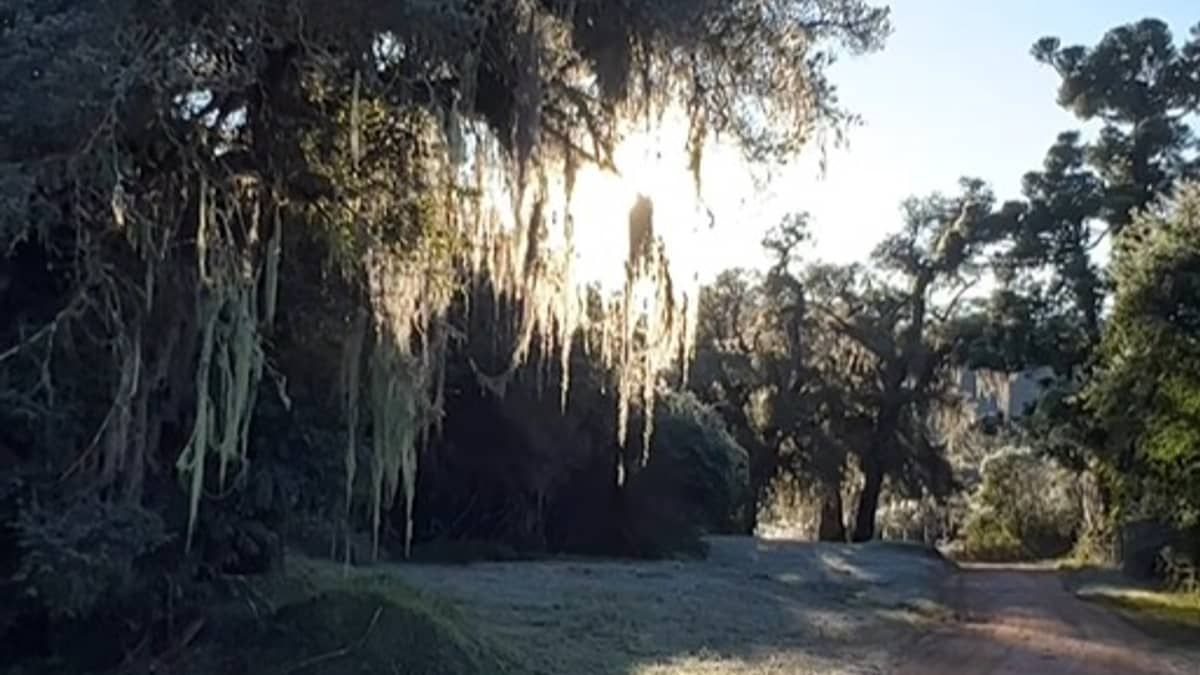 Monte Verde registra menor temperatura do país nesta sexta