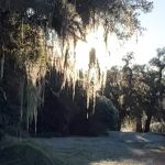 Monte Verde registra menor temperatura do país nesta sexta