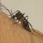 Governo cria centro de operações para monitorar aumento de casos de dengue