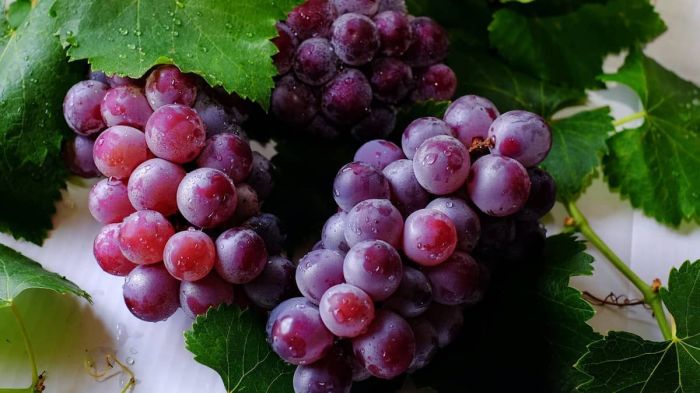 A criança era acostumada a comer uvas, afirma a família
