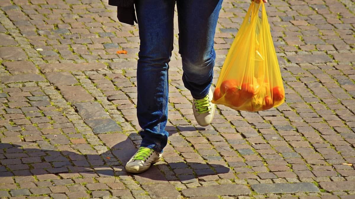 Cliente acusado de furto em supermercado teve sacola rasgada por gerente e será indenizado 