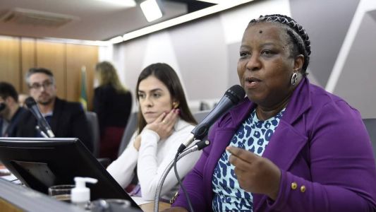 A deputada estadual Macaé Evaristo (PT)