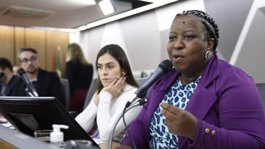 A deputada estadual Macaé Evaristo (PT)