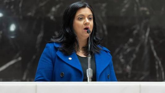 A deputada estadual Alê Portela (PL-MG)