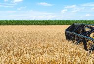 O agro em números: saiba mais sobre o desempenho do setor