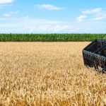 O agro em números: saiba mais sobre o desempenho do setor