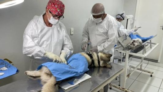 A disponibilidade de vagas pode ser conferida diariamente